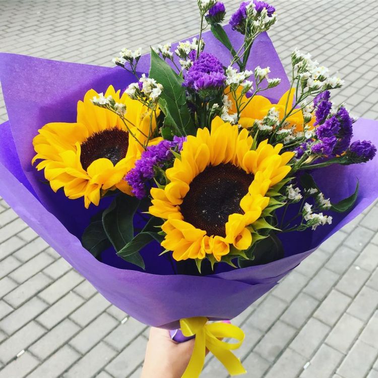 Чудо остров от 4 359 руб.